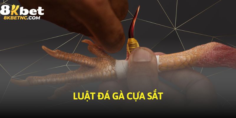 Quy tắc cần biết của luật đá gà cựa sắt