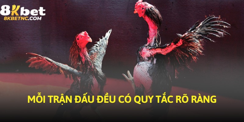 Mỗi trận đấu đều có quy tắc rõ ràng
