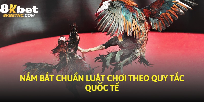 Nắm bắt chuẩn luật chơi theo quy tắc quốc tế