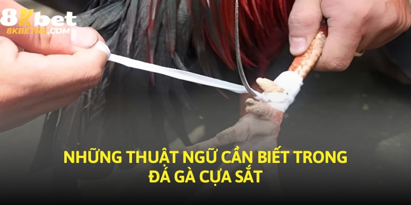 Những thuật ngữ cần biết trong đá gà cựa sắt