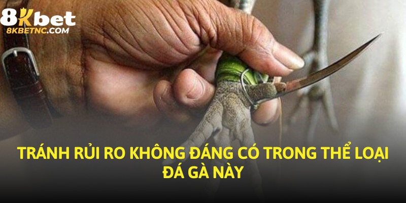 Tránh rủi ro không đáng có trong thể loại đá gà này